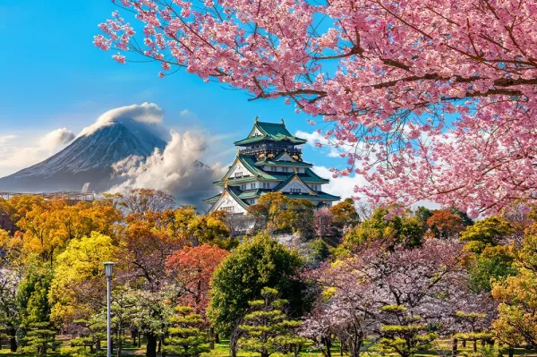 Comfort Japonya ve Kore Turu THY ile Ekstra Turlar Dahil / 7 Gece Otel Konaklamalı / İstanbul Çıkışlı / 2027 - 2